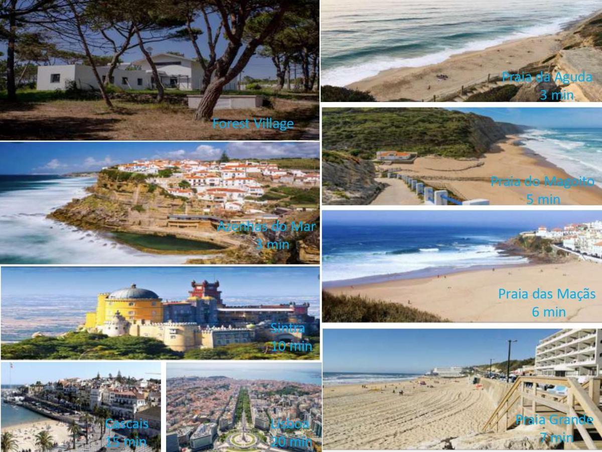 Forest Village Azenhas do Mar Extérieur photo